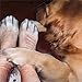 BIBITI Lustige Socken,Geschenke für Hundebesitzer,Personalisierte Haustier-Socken Hundeliebhaber Slustig Socks Geschenk Hundemotiv Geburtstag Spaß Funny Sock,für Damen Männer Tierliebhaber Gifts