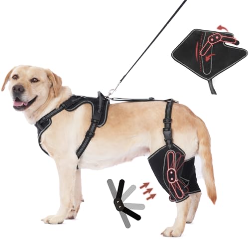 OJLUOJ Arnés de metal para cadera y cadera, soporte de articulación de cadera para perro, arnés de longitud ajustable con parte delantera y trasera para cachorros, tallas L, perros y mascotas, 4