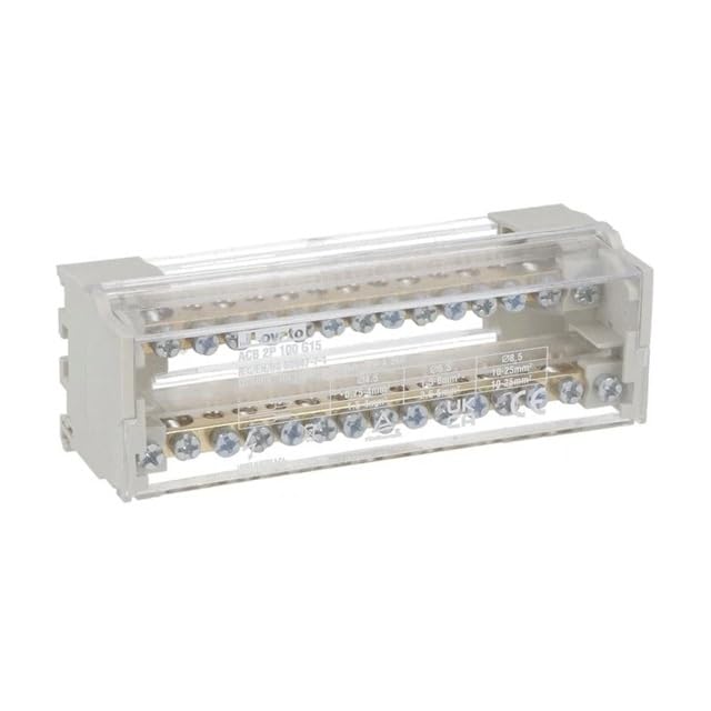 Distribuidor 2P 100 A Lovato ACB2P100G15 bloque repartidor bipolar modular de carril DIN