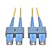 Tripp Lite Duplex Singlemode 9/125 Fiber Patch Cable (SC/SC), 1M (3-ft.)(N356-01M)