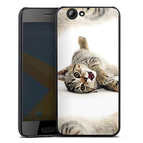 DeinDesign Coque Compatible avec HTC One A9 s Ã‰Tui Housse Chat Animal Domestique