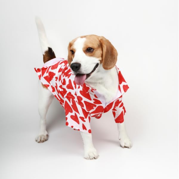 Image of Ezra Polyester Blend Dog Shirt - Heart Abstract, Small | Lightweight & Breathable Outfit for Dogs | Stylish & Comfortable Pet Clothing and Outings