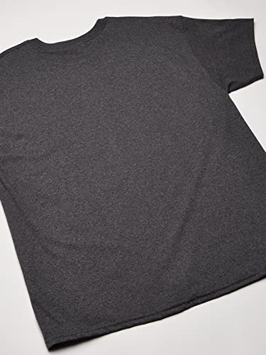 Image of Hanes Men's Ecosmart T-Shirt (Pack of 6)
