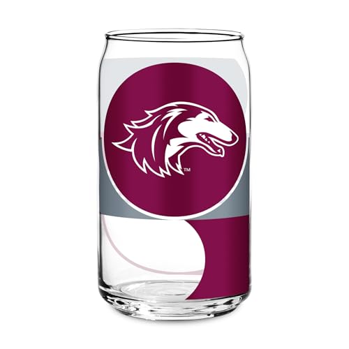 Rico Industries NCAA Southern Illinois Salukis Standard 16-oz Class Can Shaped