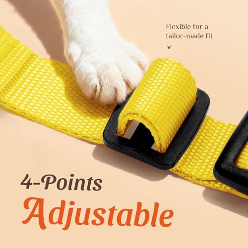 Image of Dooradar Cat Harness and Leash Set, Escape Proof Safe Adjustable Kitten Vest Harnesses for Walking, Easy Control Soft Breathable Mesh Jacket with Reflective Strips for Cats, Yellow, S