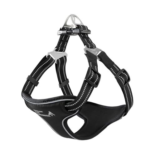 EXCELLENT ELITE SPANKER ˃iC pxXgn[lX EVApbhȂ vxXg l[v[gŒ߉\ tgNbvT[rXpn[lX ^  ^p(ubNAL)