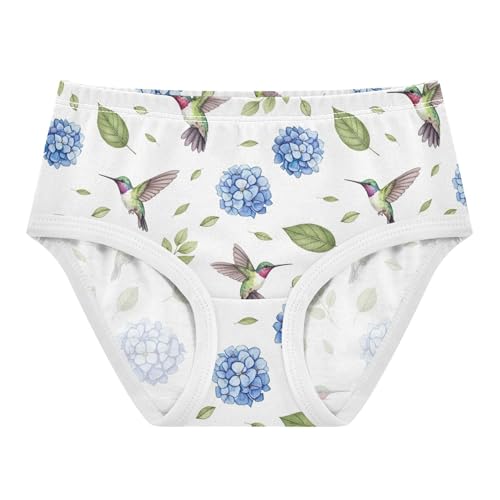 Girls Underwear Toddlers 2t Cotton Girl Panties Cute Stylish Briefs Underpants Watercolor Green Birds Blue Floral