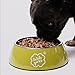 Irish Pure Premium Nassfutter für Hunde | 12x 390g | Atlantik-Lachs | Vitamine | Getreidefrei | Sensitiv | mit Superfood Kelp-Alge | Nassfutter für alle Rassen