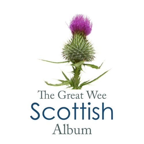 (The Jigs Medley) Haste To The Wedding / Jim Mc Allster's Jig / Stan Chapman / The Sailor's Wife (Wee Dram Mix)