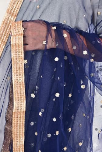 Image of YOUTHQUAKE Women's Net Embroidered Full Size Dupatta With 4 Side Golden Lace