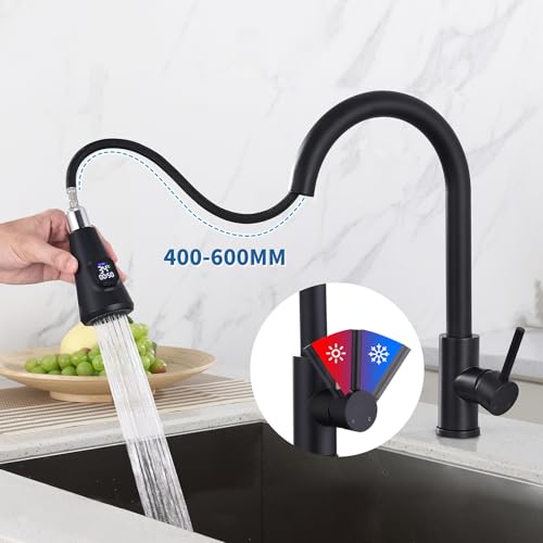 HOMELODY Wasserhahn Küche Schwarz mit LED Temperaturanzeige, Küchenarmatur Ausziehbar, Hochdruck Mischbatterie Spültischarmatur aus Edelstahl mit 2 Strahlarten, Einfache Installation
