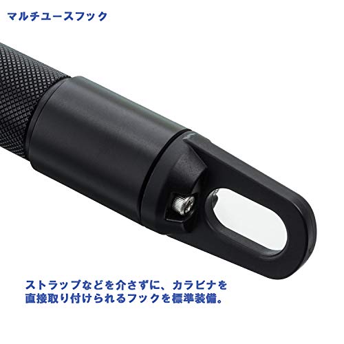 Amazon.co.jp: 水中ライト 【DiveExtreme】 LEDダイブライト DL1001