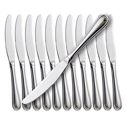 faderic Dinner Knives 12pcs Set with Hollow Handle Table Knife Flatware Stainless Steel Mirror Polishing 9-Inch Silver