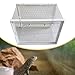 Bothyi Reptile Terrarium Carrier Portable Ventilation Lightweight Turtle Tank Reptile Feeding Box Transparent Reptiles Cage for Frog, S