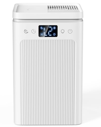 Deumidificatore Casa Elettrico Anti Muffa 2200ml Portatile - Ultra Silenzioso,...