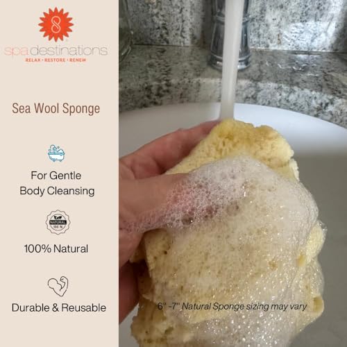 Esponja marinha 100% natural 12,7 – 15,2 cm da Spa Destinations® 