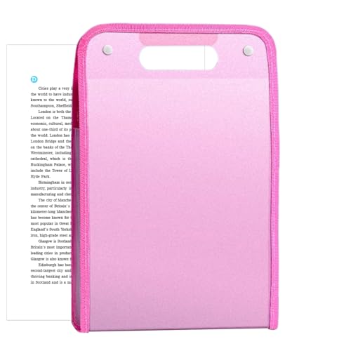 Carpeta de documentos, organizador de archivos de acordeón, 13 bolsillos, portadocumentos portátil, almacenamiento de recibos para viajes, sala de reuniones, aula, mostrador minorista, hogar