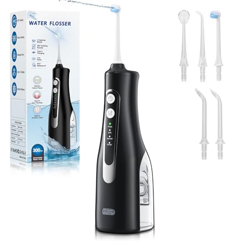 Portable Water Dental Flosser