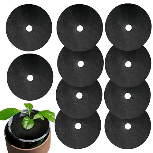 Granmagazz Dischi per pacciamatura alberi, 10 pezzi dischi per pacciamatura alberi, 25 cm, tappetino per erbacce, tappetino protettivo per alberi e piante, tappetino protettivo rotondo in tessuto non