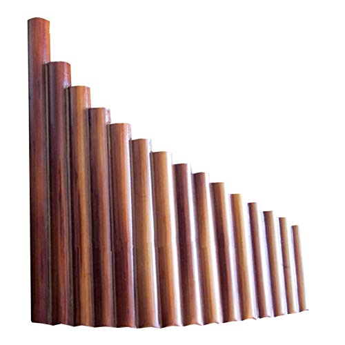 |Ǌy ppCv G  nhCh ~[WJ fBWy (J[ : ) (E)