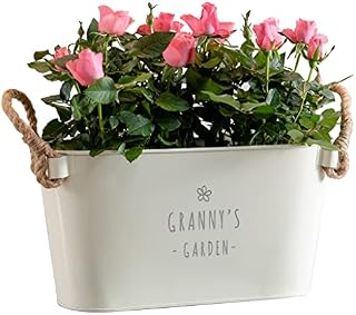 Dust and Things Engraved Flower Pot 'Grandma's Garden' - Unique Indoor Outdoor Herb Planter - Birthday for Grandma Grandmother Gran