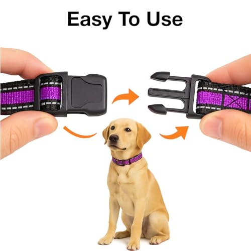 Image of Reflective Adjustable Pet Collar for Dogs and Cats - Durable Nylon Strap with Heavy-Duty Buckle | Comfortable and Safe for Walking and Training in Multiple Colors & Sizes (Purple, Small)