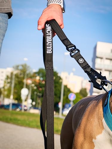 BullyBillows Schwenkbare Kampfhundeleine | Gepolsterter Griff für leichtere Spaziergänge | Anti Tangle & Druckgetestete Hundeleine | Geeignet für alle Hunderassen - Rot