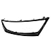 Brand] EAX Compatible with Lexus IS250 IS350 2006 2007 2008 Base Sedan 4-Door Replacement for Front Grille Glossy Black Surround Moulding Trim 06 07 08