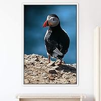 Framed Canvas Wall Art Single Bird Birds Expressive Farmhouse/Country Multicolor Photography Portrait Single - 16x24 inches