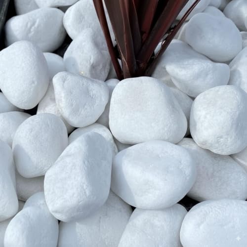 TODOSTONES Piedra para Jardin Canto Rodado Saco Blanco Especial (99%) (5 Kg, Tamaño: 20-40mm)