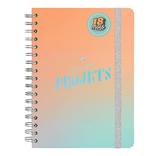 Mr.Wonderful Office 2023-2024 Weekly Diary - All My Projects, Multi-Coloured - Multi-Coloured