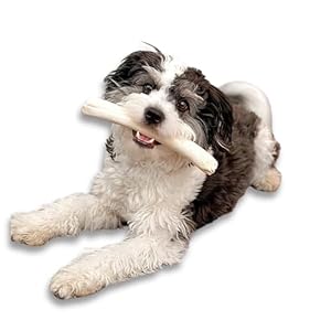 Beefhide roll 7 8 inch long lasting dog treat bone great for dental health and aggressive chewers 20 pack   cucciolini doodles