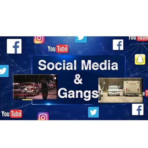 Violence Associated with Gangs and How It Is Declared in the Media