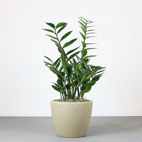 Vasart Malta Vaso de Flores, Granito Areia, 24x20cm, 1 Unidad