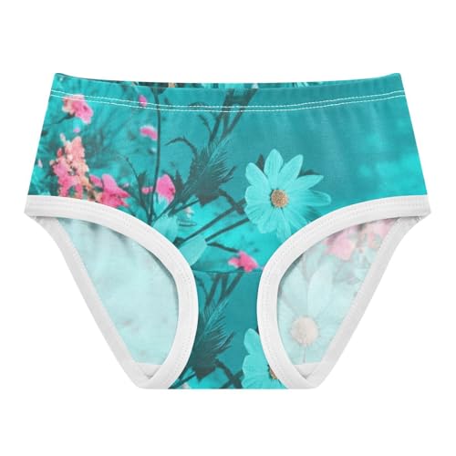 Cotton Toddler Girls Underwear Teal Pink Flowers Little Girl Panties Funny Briefs Girls Undies 2t