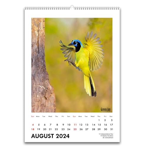 Image of Tallenge - Winged Beauties - 2024 Desk Calendar - 6 x 9 Inches for Home & Office (Paper, Desk Calendar)