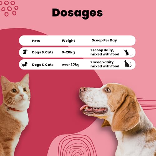 Image of Aniamor Eye Support Powder for Dogs and Cats | Dogs Eye Supplements | Dog Eye Allergy Relief | Chicken Flavor | Dog Tear Stain | All Life Stage |200gm Jar