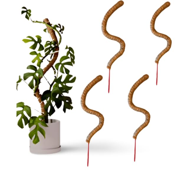Image of Garden Art 60cm Tall Bendable Moss Stick /Coir Pole for Plants Monstera, Coco Coir Moss Poles for Climbing Plants | Plant Support Extension to Grow Upwards GABCP-60 (Pack of 4)