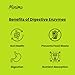 Minimo Nutrition Digestive Enzyme Pro Blend - Supports Digestive Health and Optimal Nutrient Absorption, 3rd Party Tested, Vegan, Gluten Free, 60 Capsules