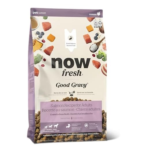 Now Fresh Good Gravy, Bone Broth Coated Kibble, Dry Dog Food, Salmon Adult Recipe with Grains, All Breed Size, 3.5 lb Bag