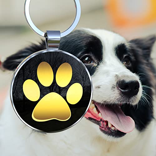 Médaille d'identification personnalisée à code QR pour animal de compagnie chien chat scanner - 2