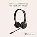Jabra Evolve 20 SE Wired Dual-Ear Headset with Microphone for Work, USB-A and USB-C Wired Headphones, Microsoft Teams Certified, On-Ear Comfort, Connects to Laptops, iPhone & Android Devices