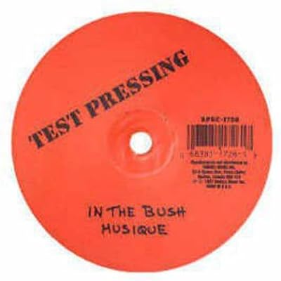 In the Bush (Bootleg Mix)/Youre the One for