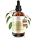 Japanischer-Staudenknoterich Tinktur 100ml | Polygonum cuspidatum Tropfen (1:4 Extrakt) | Top Premium Qualität aus Österreich | Veganes Nahrungsergänzungsmittel ohne Zusatzstoffe | Huzhang