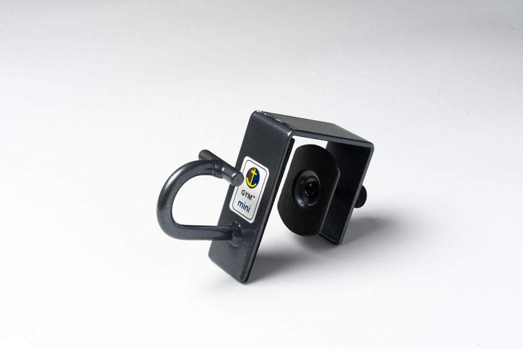 Anchor Gym Door Mini H1 Workout Door Mount Anchors