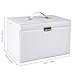 Femor Caja Joyero 4 Niveles, Caja para Joyas con Espejo y 3...