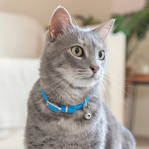 Image of Soft Leather Cat Collar with Safety Elastic Strap- Light Blue