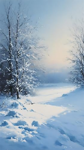 Peinture Diamant Adulte 5D Neige DIY Grand Format 70x120cm