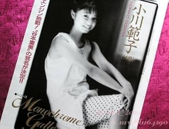 ▲限定1名様▲貴重▲小川範子▲切り抜きクリアブック2冊 Amazon.co.jp: 小川範子 1987年～1990年 大量 切り抜き ファイル