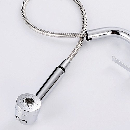 Grifo de cocina tipo de extracción vegetal lavado caliente y frío Grifo lavabo, fregadero jefe columna de agua/ducha dos grifos de salida de agua